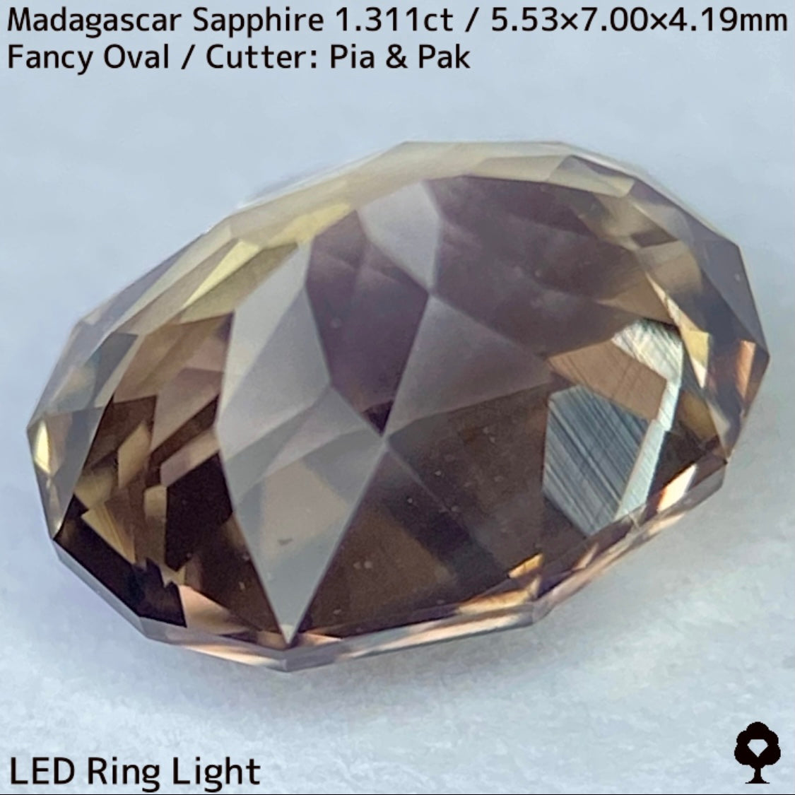 マダガスカル産サファイア1.311ct★ダンディな多色感たまらない成長が絵画のような一石