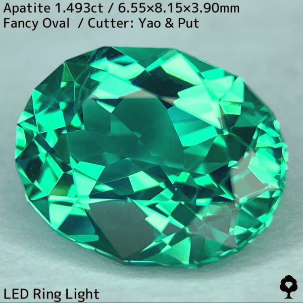超クリアな美グリーンの結晶はカット難易度高い石種だか抜群の仕上がり★アパタイト1.493ct