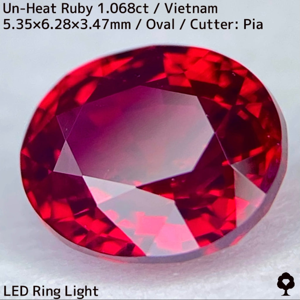 ベトナム ルクエン産非加熱ルビー 0.865ct - starrvybzonline.com