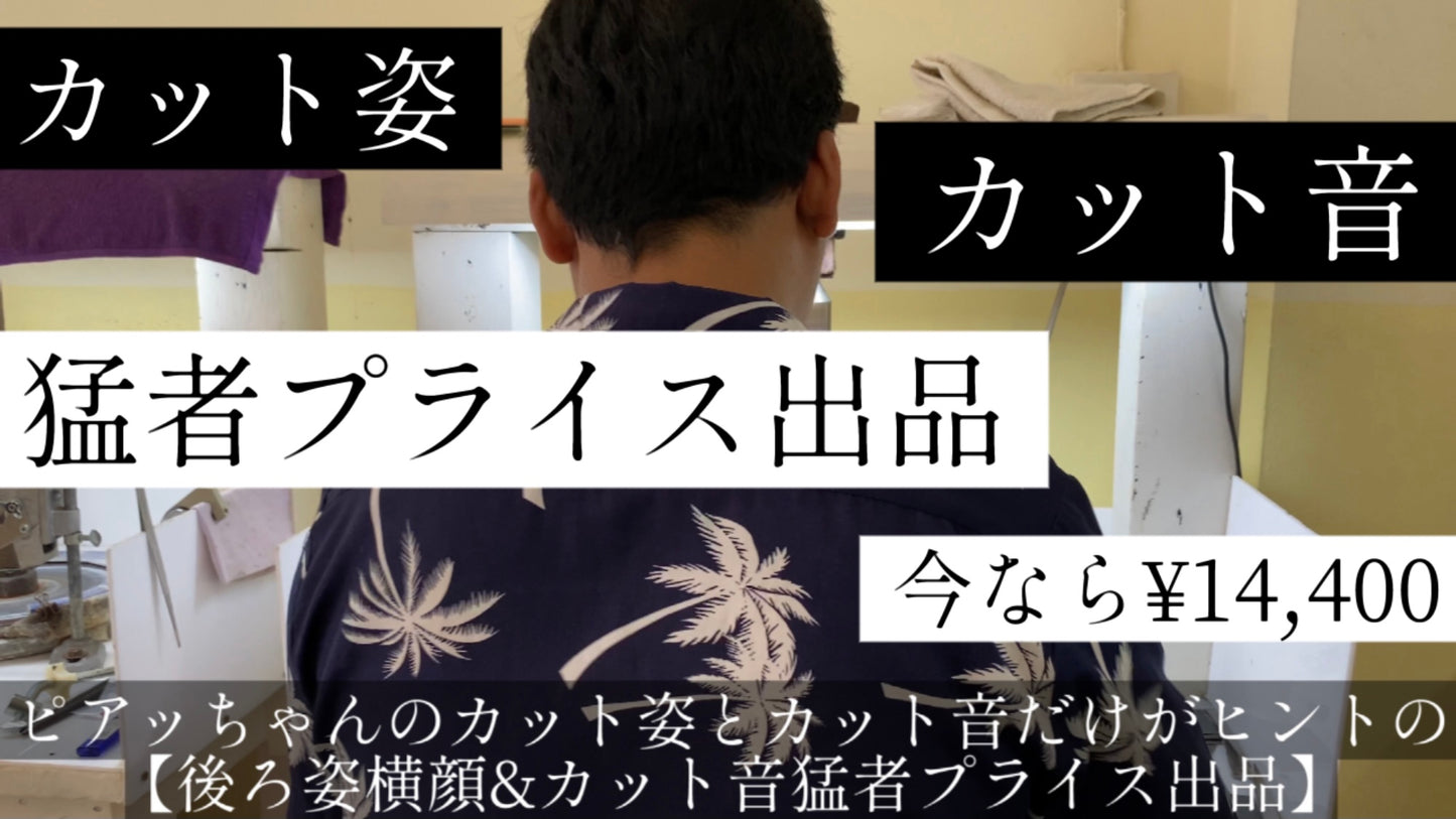 今なら¥14,400‼️【カット姿・カット音猛者プライス出品★連休お楽しみ企画】GTJメインカッター"ピアッちゃん"のカット姿とカット音だけが頼り😇ヒントが出るたび値上がりしていきます👍