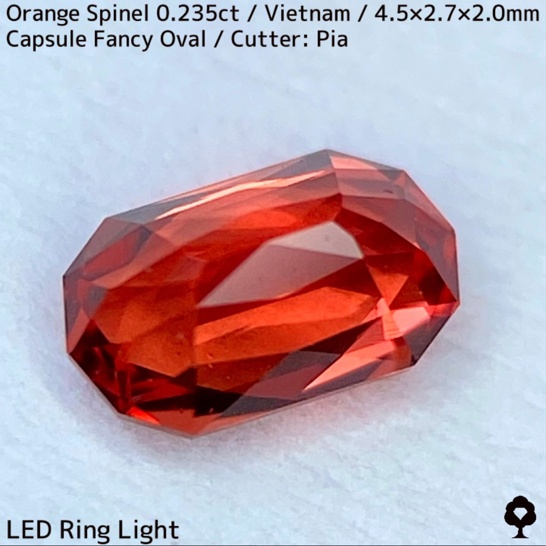 ベトナム産オレンジスピネル0.235ct★超美結晶のカプセルシザースから強烈オレンジネオンの煌めき