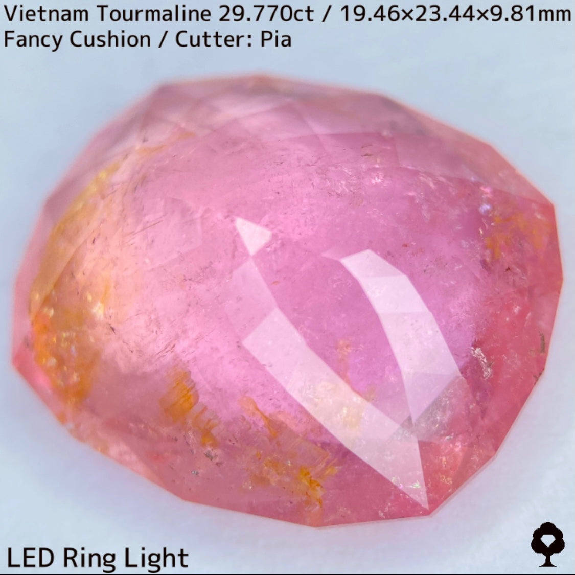 ベトナム産トルマリン29.770ct★華やかなベトナム産らしい桜満開巨石