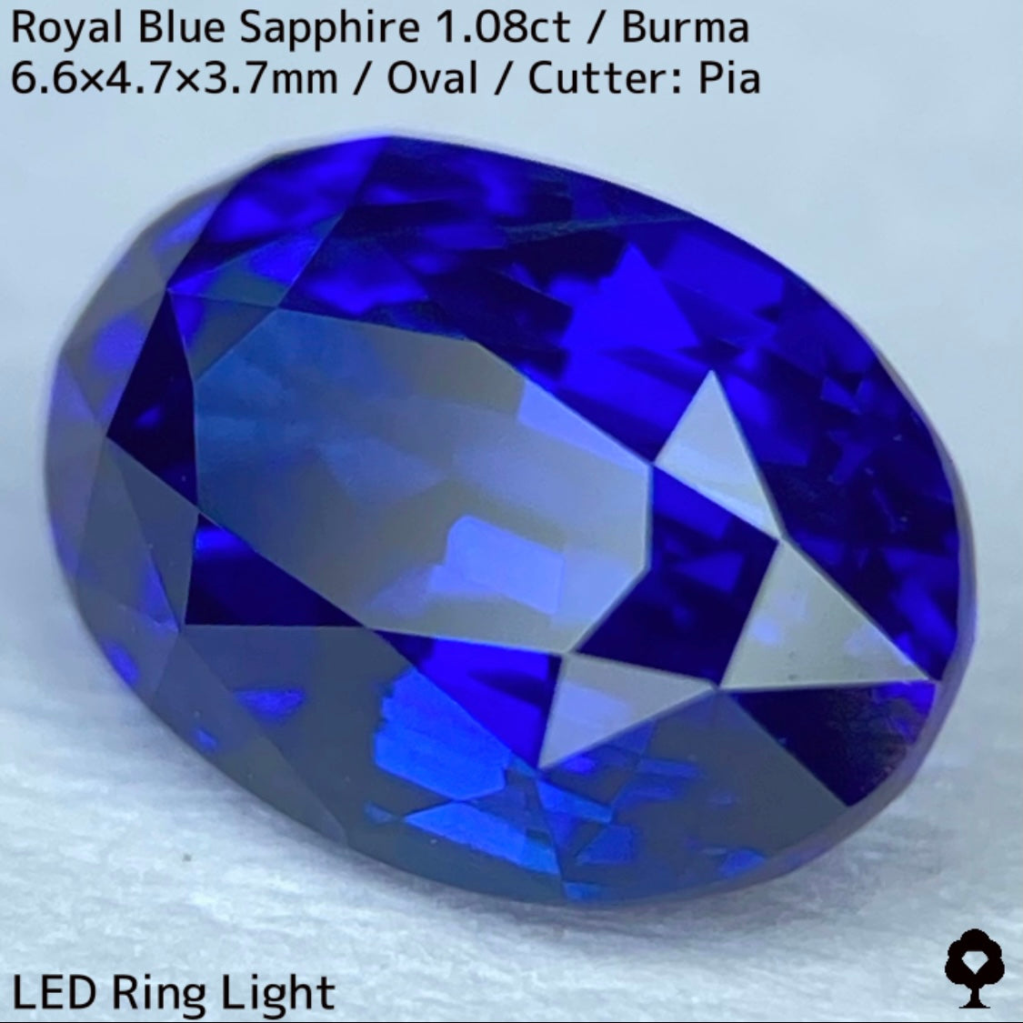 ビルマ産ロイヤルブルーサファイア1.08ct★濃厚だけど暗くない最高の色合いの1ctアップ美結晶ロイヤル