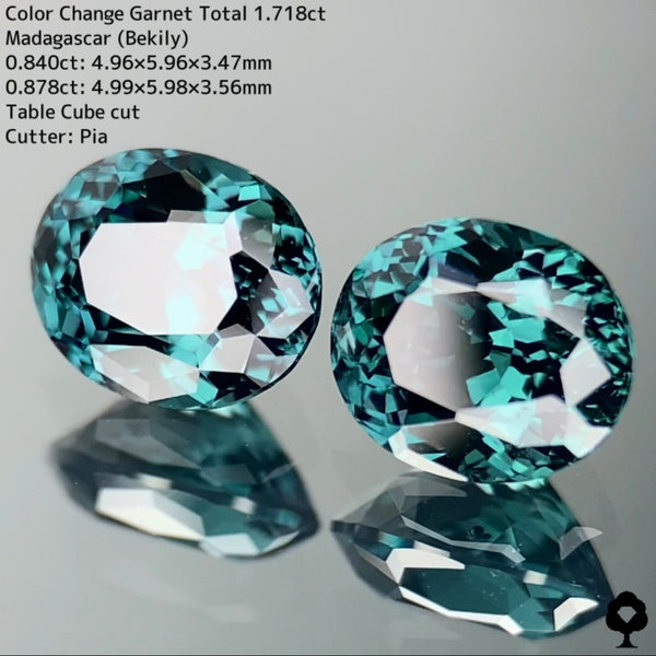 1級品超美結晶グリーン系ベキリーガーネット0.840ct/0.878ctペア計1.718ct