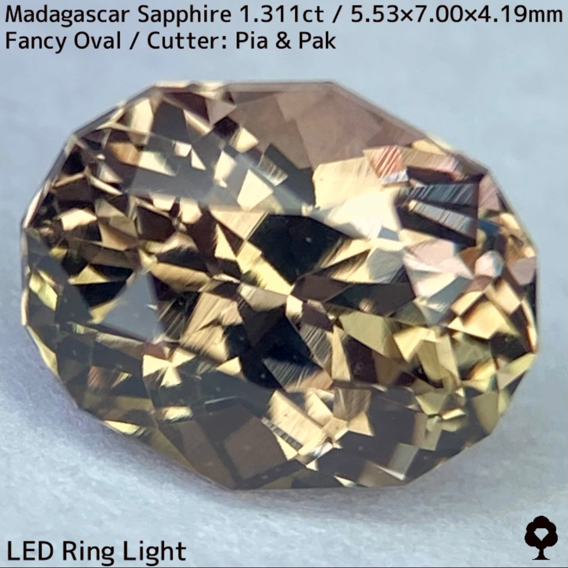 マダガスカル産サファイア1.311ct★ダンディな多色感たまらない成長が絵画のような一石