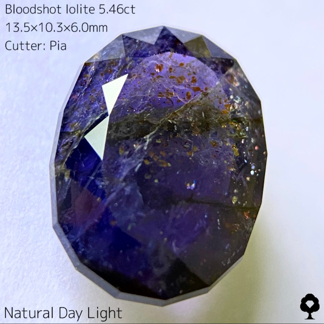 濃厚パープルに広がるカラフルな宇宙とブラッドショット★ブラッドショットアイオライト5.46ct