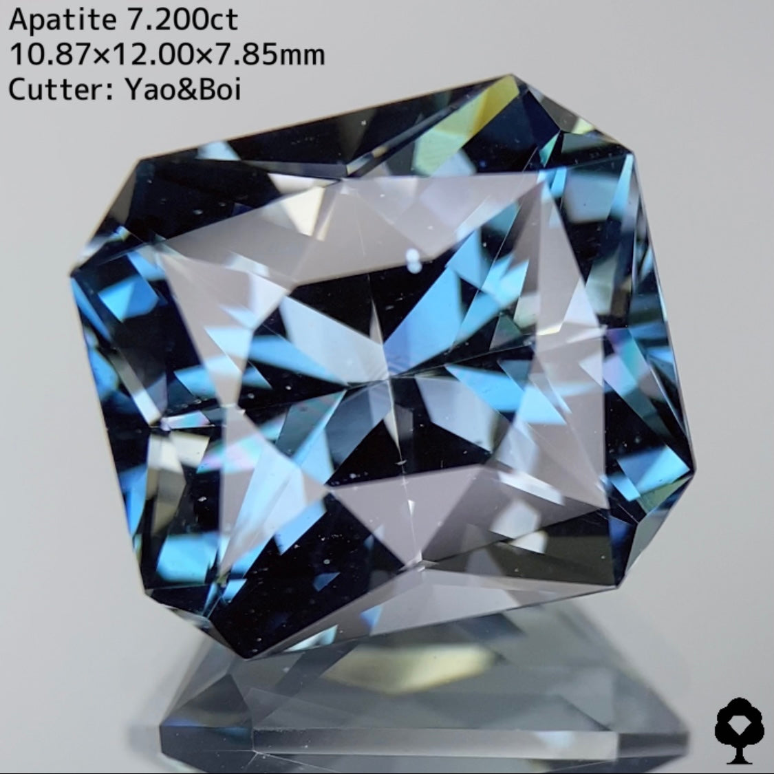 【激レアカラー】グリニッシュなブルーと強いコントラストの渋カッコいい逸品★アパタイト7.200ct