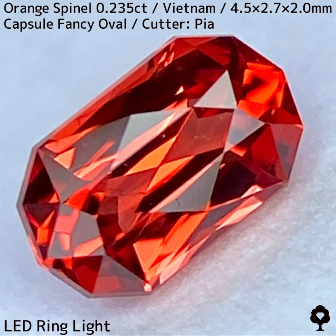 ベトナム産オレンジスピネル0.235ct★超美結晶のカプセルシザースから強烈オレンジネオンの煌めき