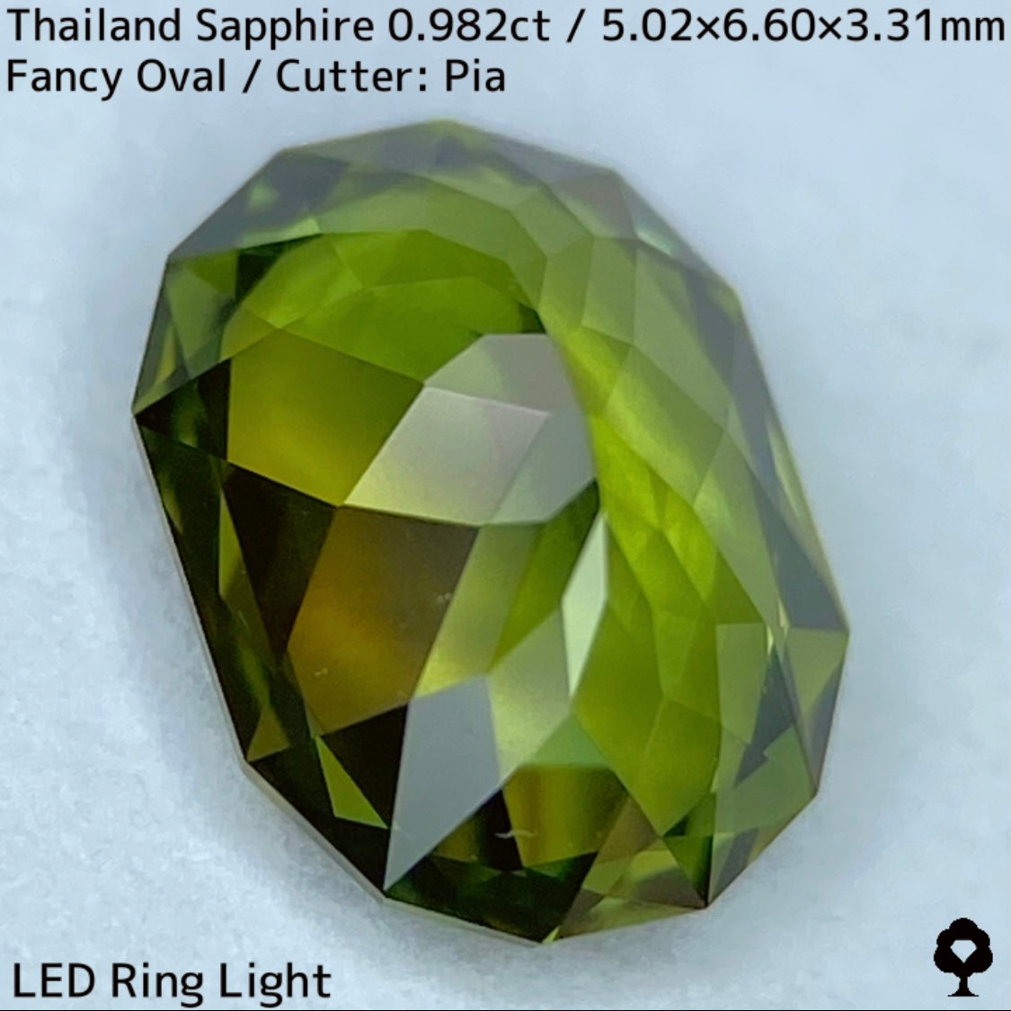 タイ産グリニッシュイエローサファイア0.982ct☆発色の良い