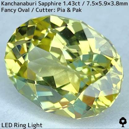 【GW特別企画★30%まほチケキャッシュバック】カンチャナブリー産サファイア1.43ct★グリニッシュイエローの1.4ctのボリュームから溢れるライトカラーの煌めきとファイアーがたまらない