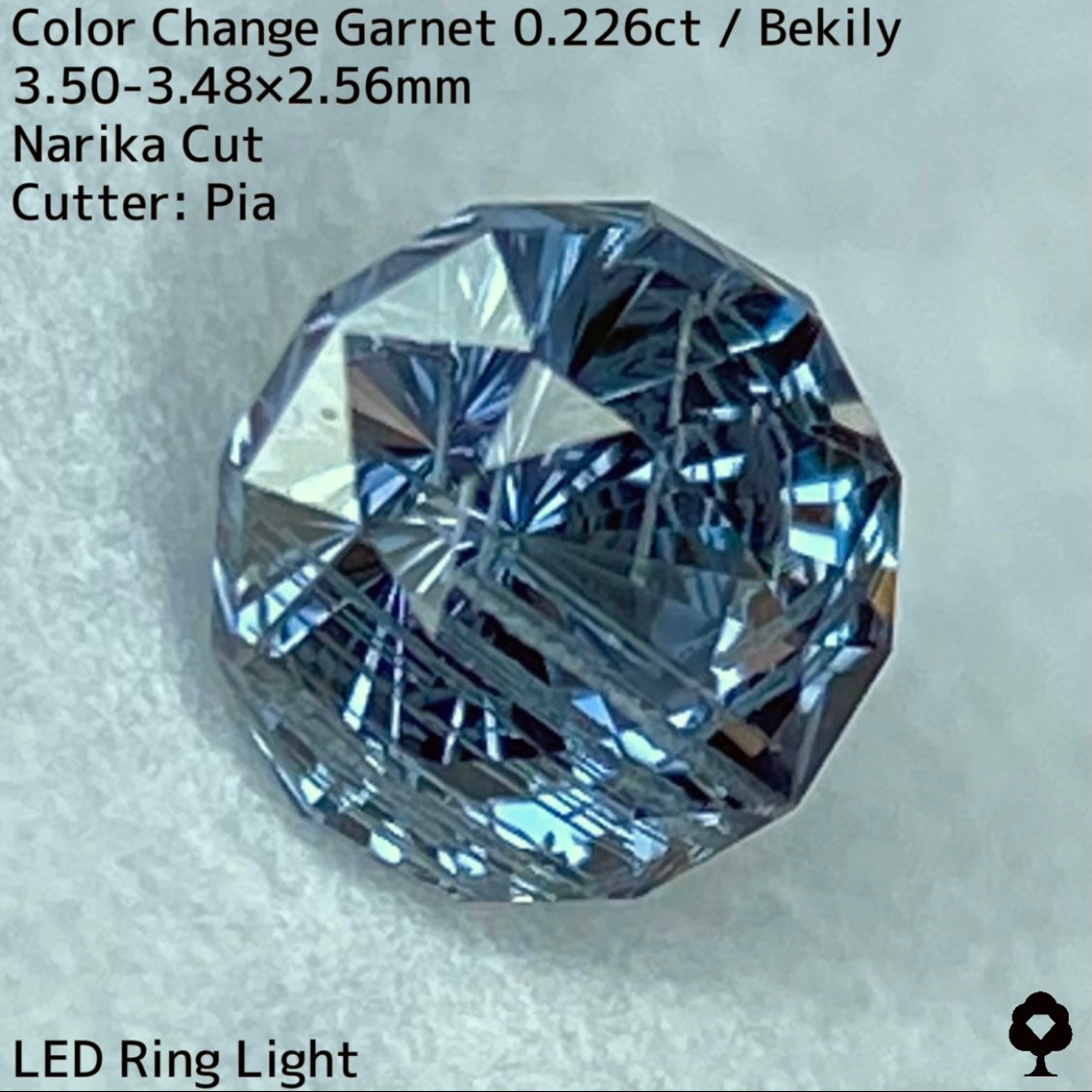 ナリカーカット仕上げのチューブインクル好き垂涎の個性派★ベキリー産カラーチェンジガーネット0.226ct