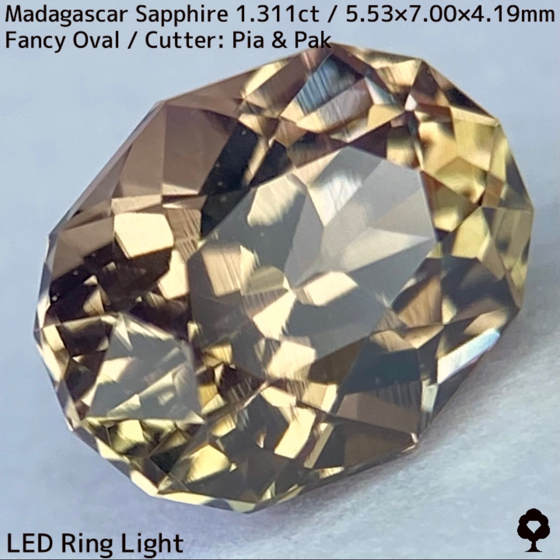 マダガスカル産サファイア1.311ct★ダンディな多色感たまらない成長が絵画のような一石