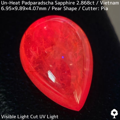 ベトナム産非加熱パパラチァサファイア2.868ct★柔らかなギリギリパパラチァのツヤツヤで可愛すぎるペアシェイプ