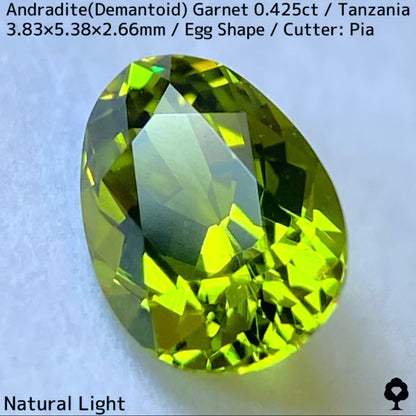 タンザニア産アンドラダイト(デマントイド)ガーネット0.425ct★程よい濃さの美グリーンから煌めき止まらないキュートなエッグシェイプ