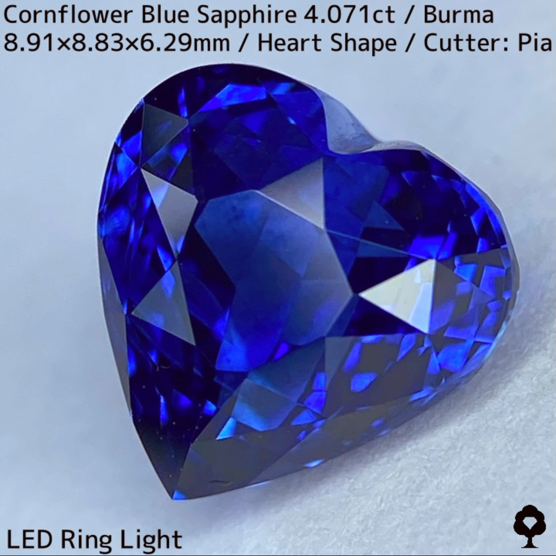 ビルマ産コーンフラワーブルーサファイア4.071ct★ロイヤルブルー寄りの濃いめ最高コーンフラワーブルーが美しすぎる超一級品