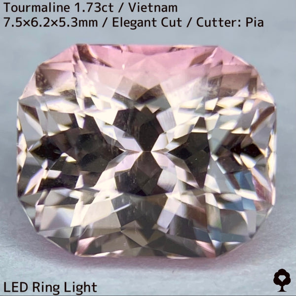ベトナム産トルマリン1.73ct★アクロアイトの一辺がピンクに染まったレア結晶