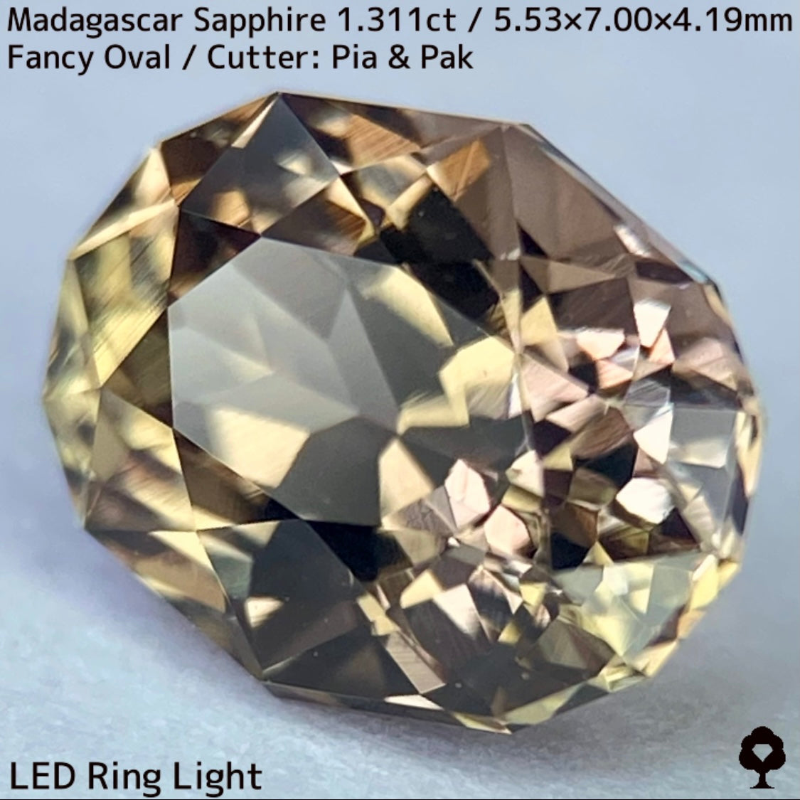 マダガスカル産サファイア1.311ct★ダンディな多色感たまらない成長が絵画のような一石