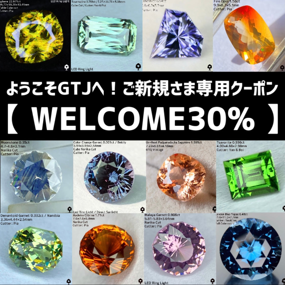 GemTreeJapan