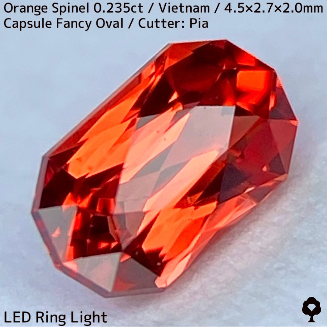 ベトナム産オレンジスピネル0.235ct★超美結晶のカプセルシザースから強烈オレンジネオンの煌めき