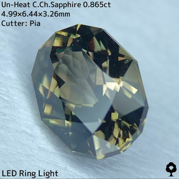 激渋カッコいいカーキの地色がピンキッシュパープルに変化★非加熱カラーチェンジサファイア0.865ct