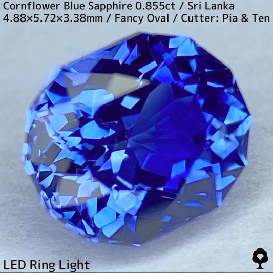 スリランカ産コーンフラワーブルーサファイア0.855ct★クリアで幅のあるブルーが楽しめる煌めく超美結晶