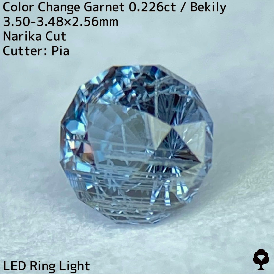 ナリカーカット仕上げのチューブインクル好き垂涎の個性派★ベキリー産カラーチェンジガーネット0.226ct