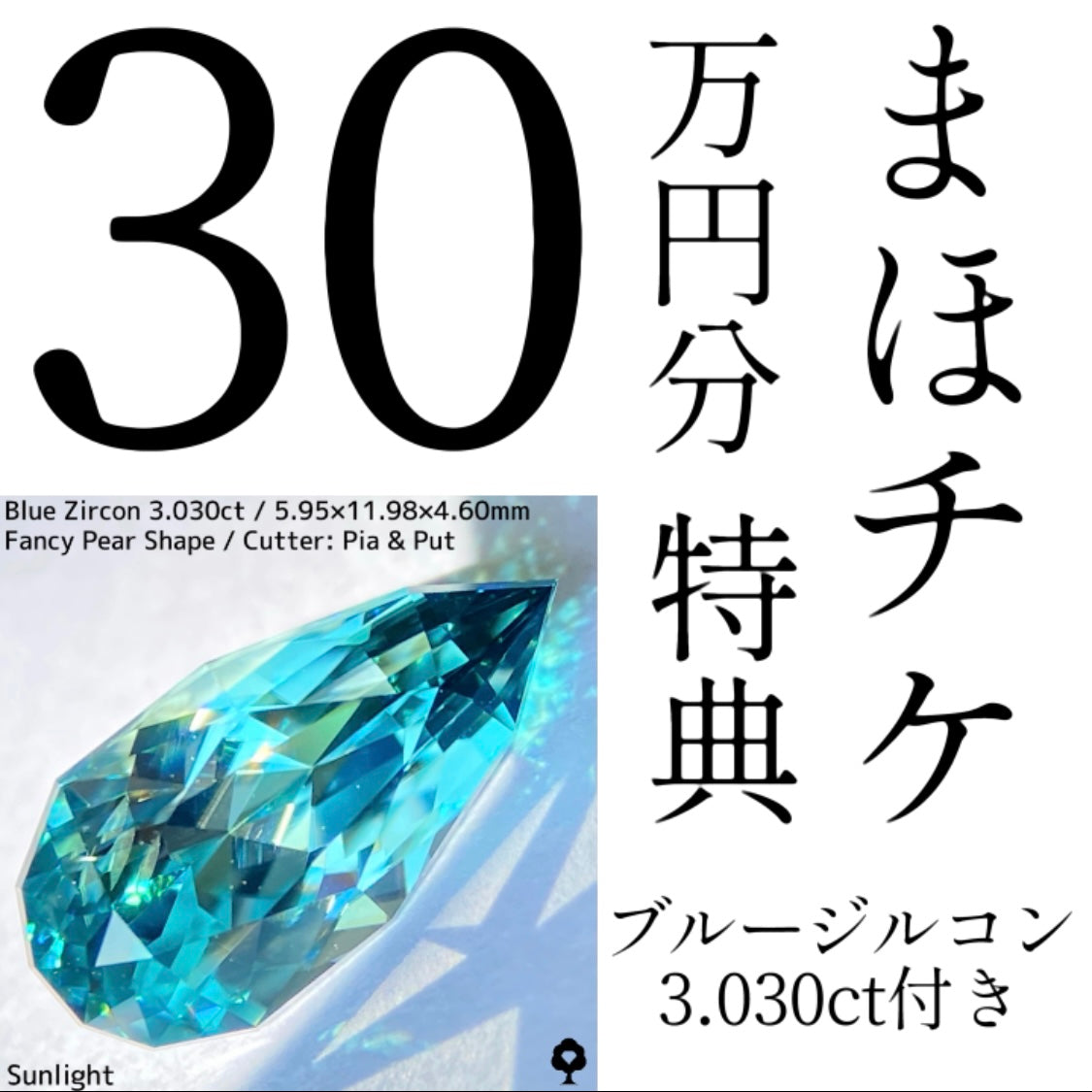 【共同代表イルモ独り立ち記念】まほチケ30万円分★19万円でご購入いただけます★特典1石付き