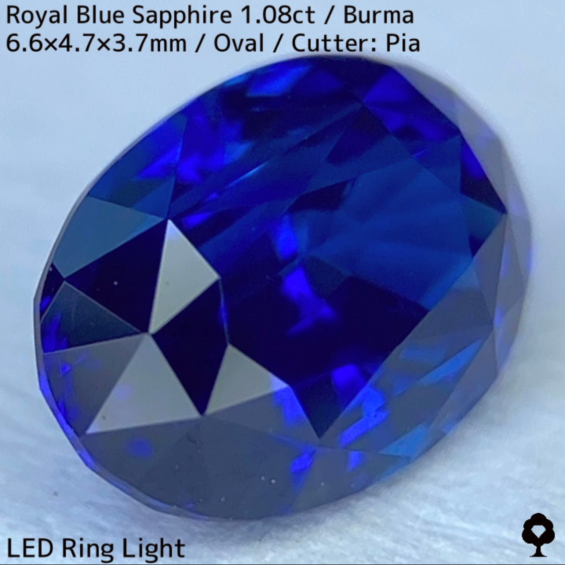 ビルマ産ロイヤルブルーサファイア1.08ct★濃厚だけど暗くない最高の色合いの1ctアップ美結晶ロイヤル