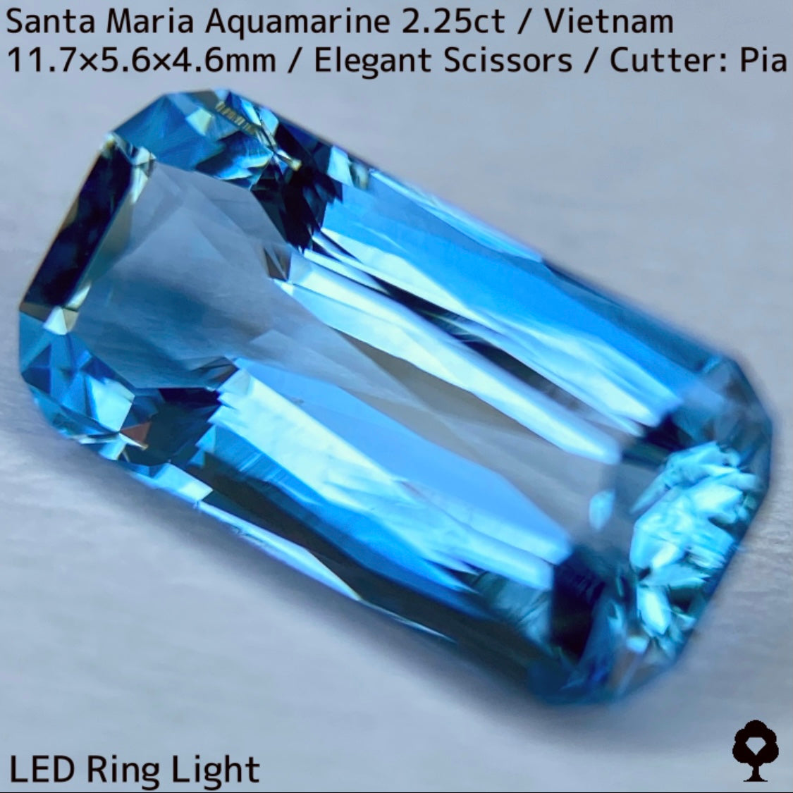 ベトナム産サンタマリアアクアマリン2.25ct★色合い・サイズ・カットはまさに一級品で本物の水のように感じる内部構造が唯一無二