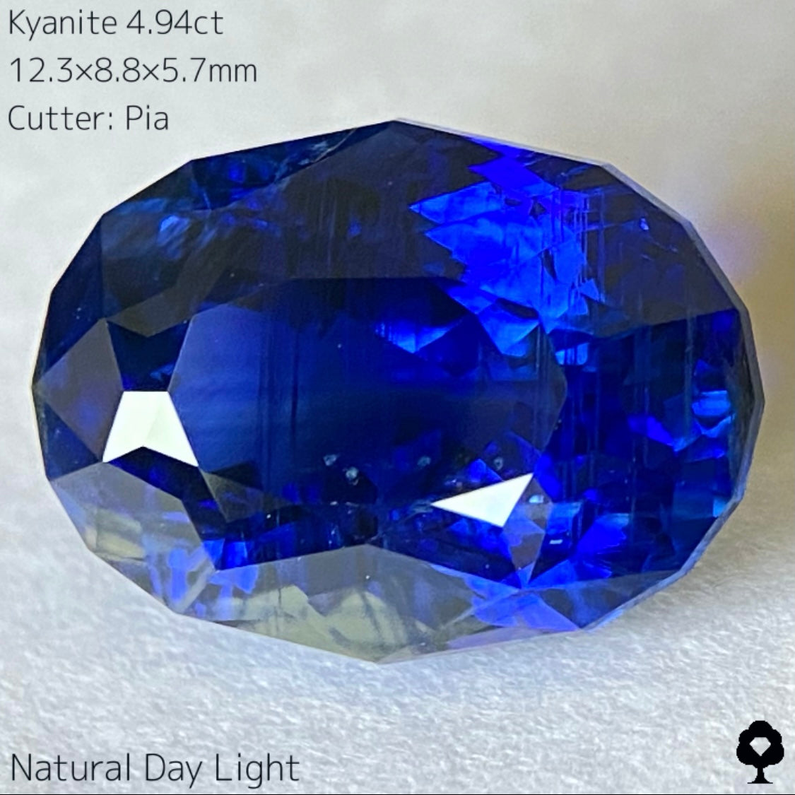 【難題に逃げずに挑み続ける】ロイヤルブルーカイヤナイト4.94ct★カット難易度最上級の一級品ロイヤルブルーをどこにも無い輪郭縁取りカットに仕上げた逸品★ピアッちゃんカイアナイト制覇記念プライス★