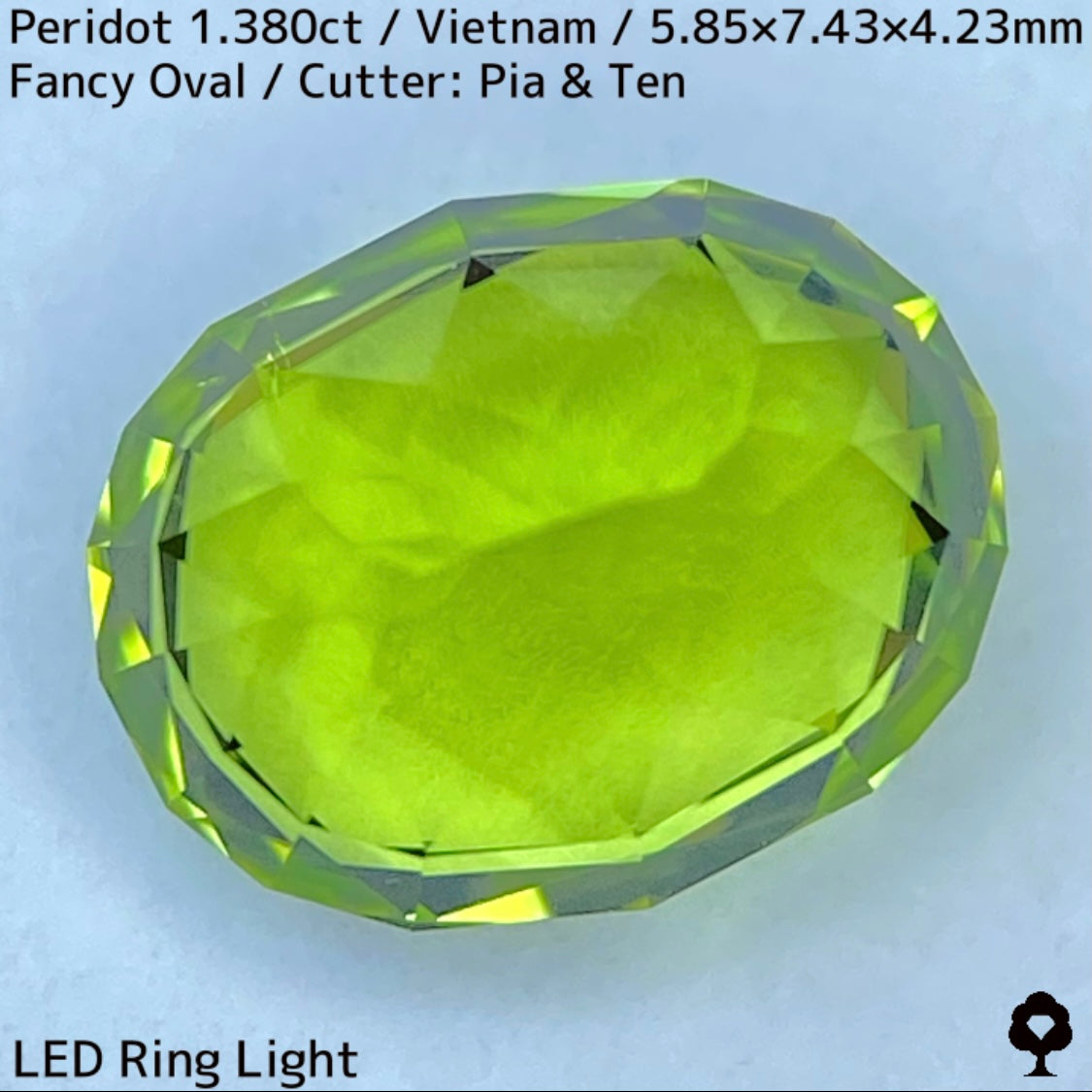 ベトナム産ペリドット1.380ct★発色の良いスカッとしたグリーンの美結晶は輝きに溢れる