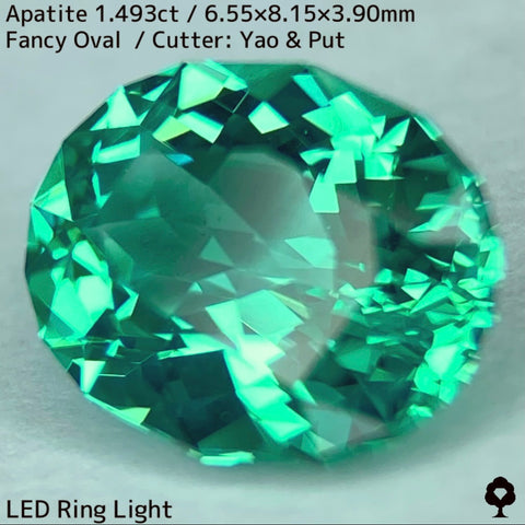 超クリアな美グリーンの結晶はカット難易度高い石種だか抜群の仕上がり★アパタイト1.493ct
