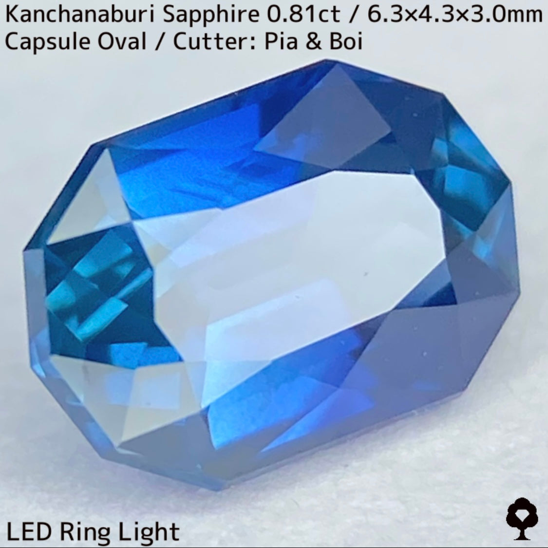 カンチャナブリー産サファイア0.81ct★シルキーブルーのグラデーションがたまらないカプセルカット