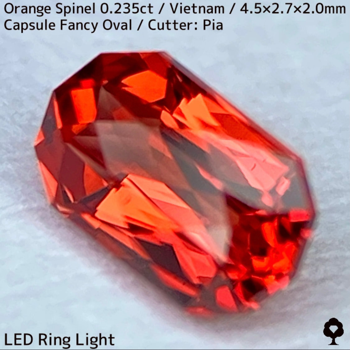 ベトナム産オレンジスピネル0.235ct★超美結晶のカプセルシザースから強烈オレンジネオンの煌めき