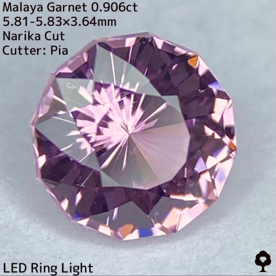 可憐な色合いのナリカーカットにはカラフルファイアーが添えられる★マラヤガーネット0.906ct