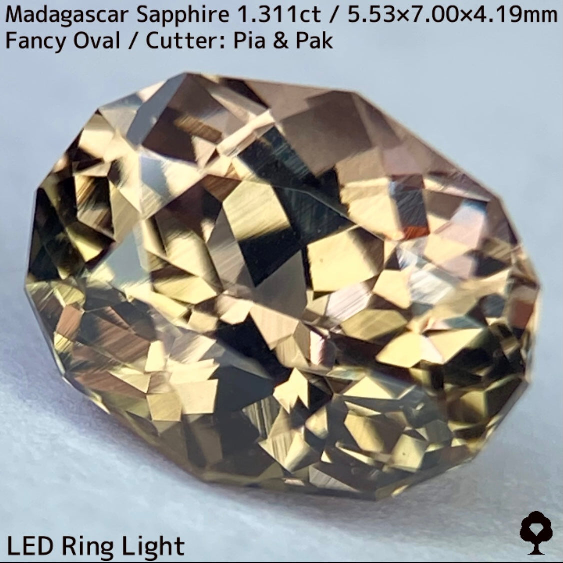 マダガスカル産サファイア1.311ct★ダンディな多色感たまらない成長が絵画のような一石