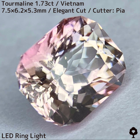 ベトナム産トルマリン1.73ct★アクロアイトの一辺がピンクに染まったレア結晶