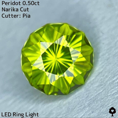 お客さま専用【勝手にチャットプレキャン🎁NaNa Fujiko杯】ペリドット0.50ct