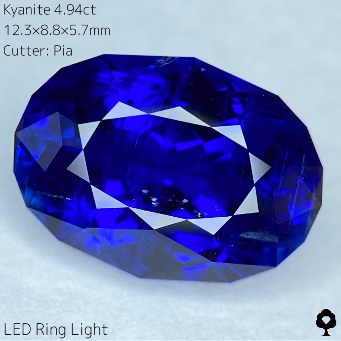 【難題に逃げずに挑み続ける】ロイヤルブルーカイヤナイト4.94ct★カット難易度最上級の一級品ロイヤルブルーをどこにも無い輪郭縁取りカットに仕上げた逸品★ピアッちゃんカイアナイト制覇記念プライス★