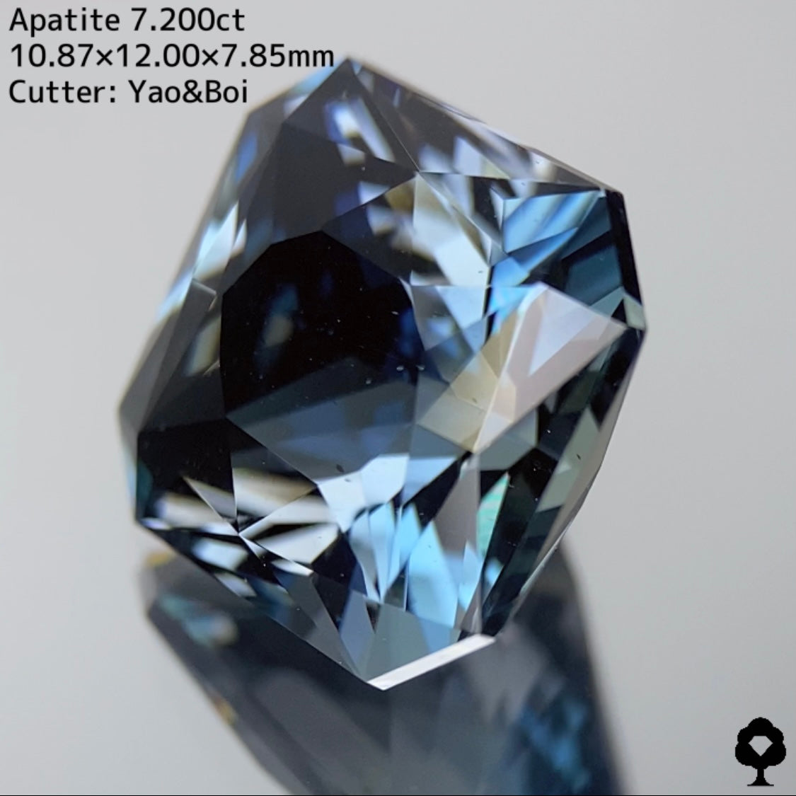 【激レアカラー】グリニッシュなブルーと強いコントラストの渋カッコいい逸品★アパタイト7.200ct