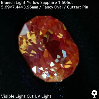 カンチャナブリー産ブルーイッシュイエローサファイア1.505ct★ライトイエローにうっすらブルーの色だまりがある複雑な美カラー