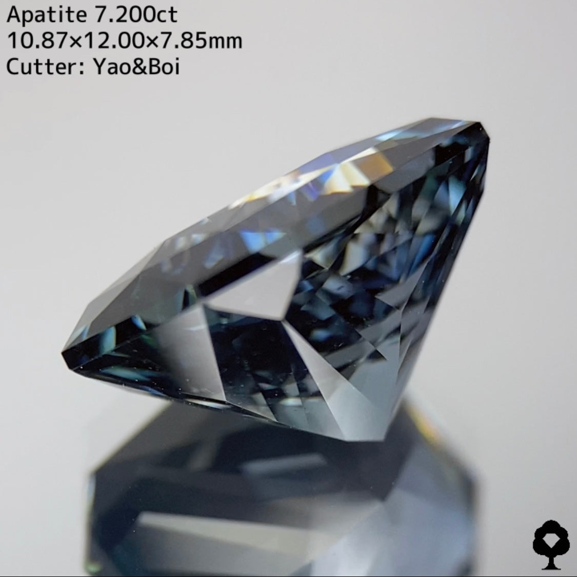 【激レアカラー】グリニッシュなブルーと強いコントラストの渋カッコいい逸品★アパタイト7.200ct