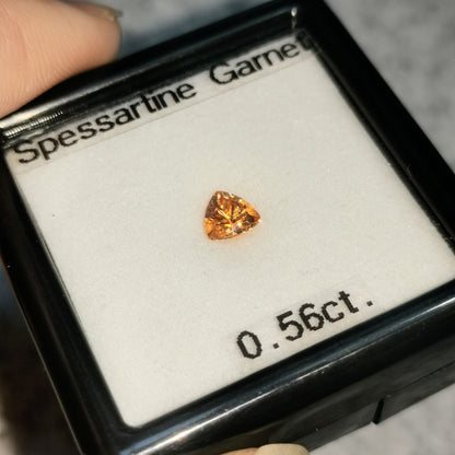 【勝手にチャットプレキャン2024.1.21】スペサタイト 0.56ct