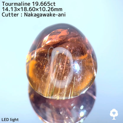 【ワンプライス】モザンビーク産 “美色トルマリン 19.665ct / 中川家兄作品