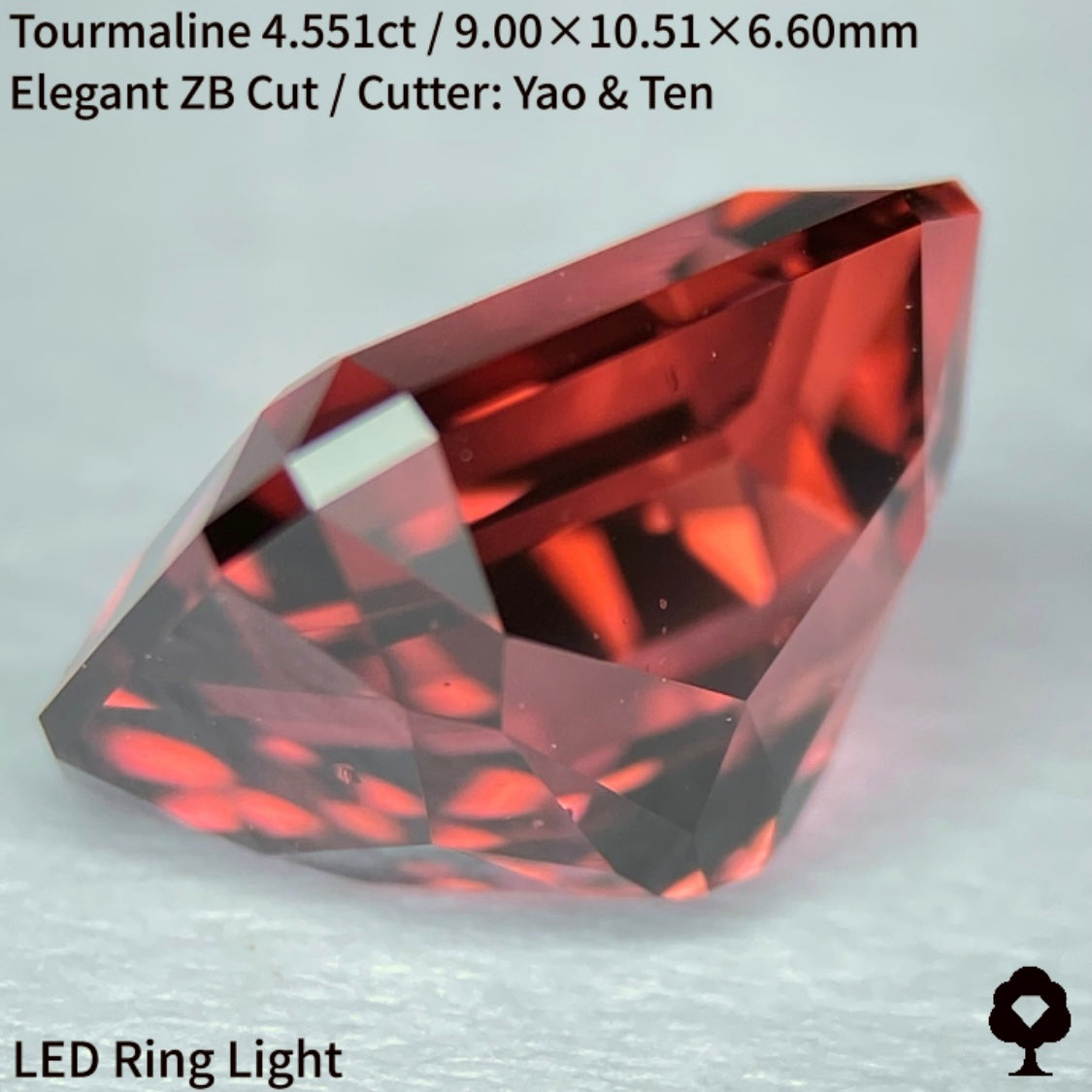 グラデ感ある秋色の紅葉狩りトルマリン4.551ct★宝石のカタチ浮かぶZBカット