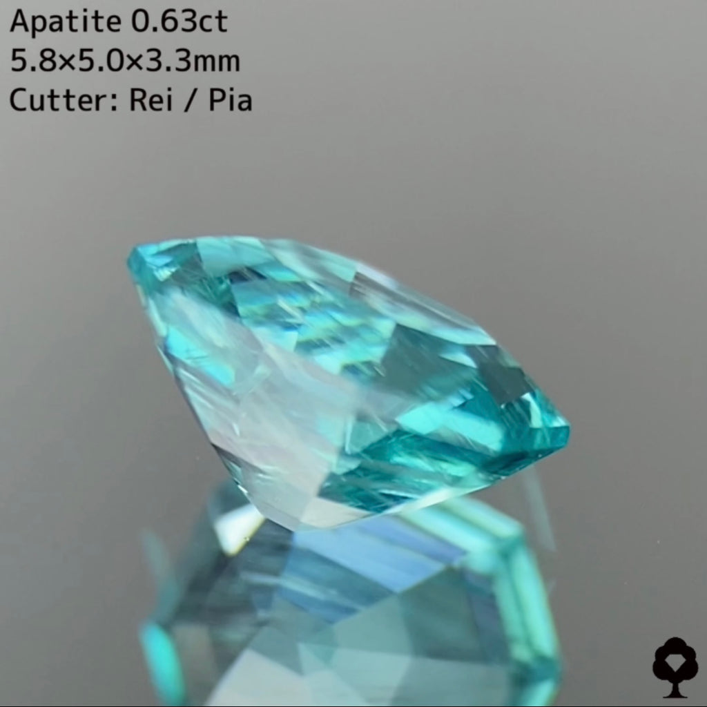 お客さま専用】アパタイト 0.63ct☆お問い合わせ特別価格☆ – GemTreeJapan