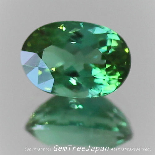 一つ一つが微妙に違う魅惑の美色トルマリン 0.375ct(6/9)💎ピアっちゃん作品✨