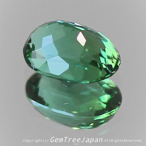 一つ一つが微妙に違う魅惑の美色トルマリン 0.375ct(6/9)💎ピアっちゃん作品✨