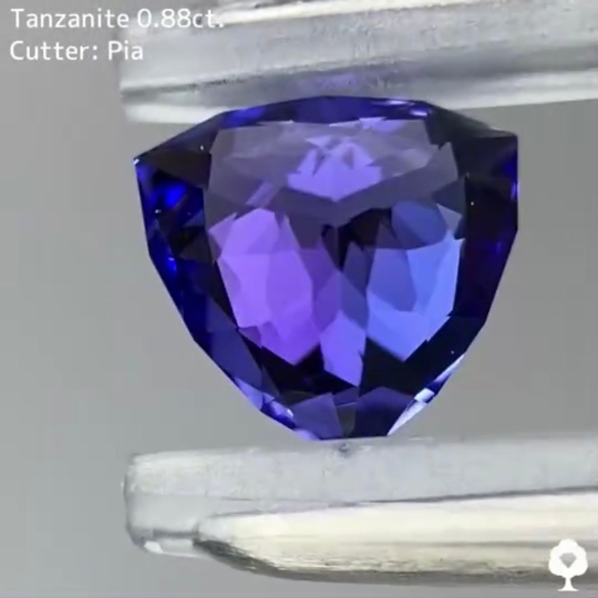 【お客さま専用】湧き上がる細やかな煌めきの美色ファンシートリリアント★タンザナイト 0.88ct ピアッちゃん作品