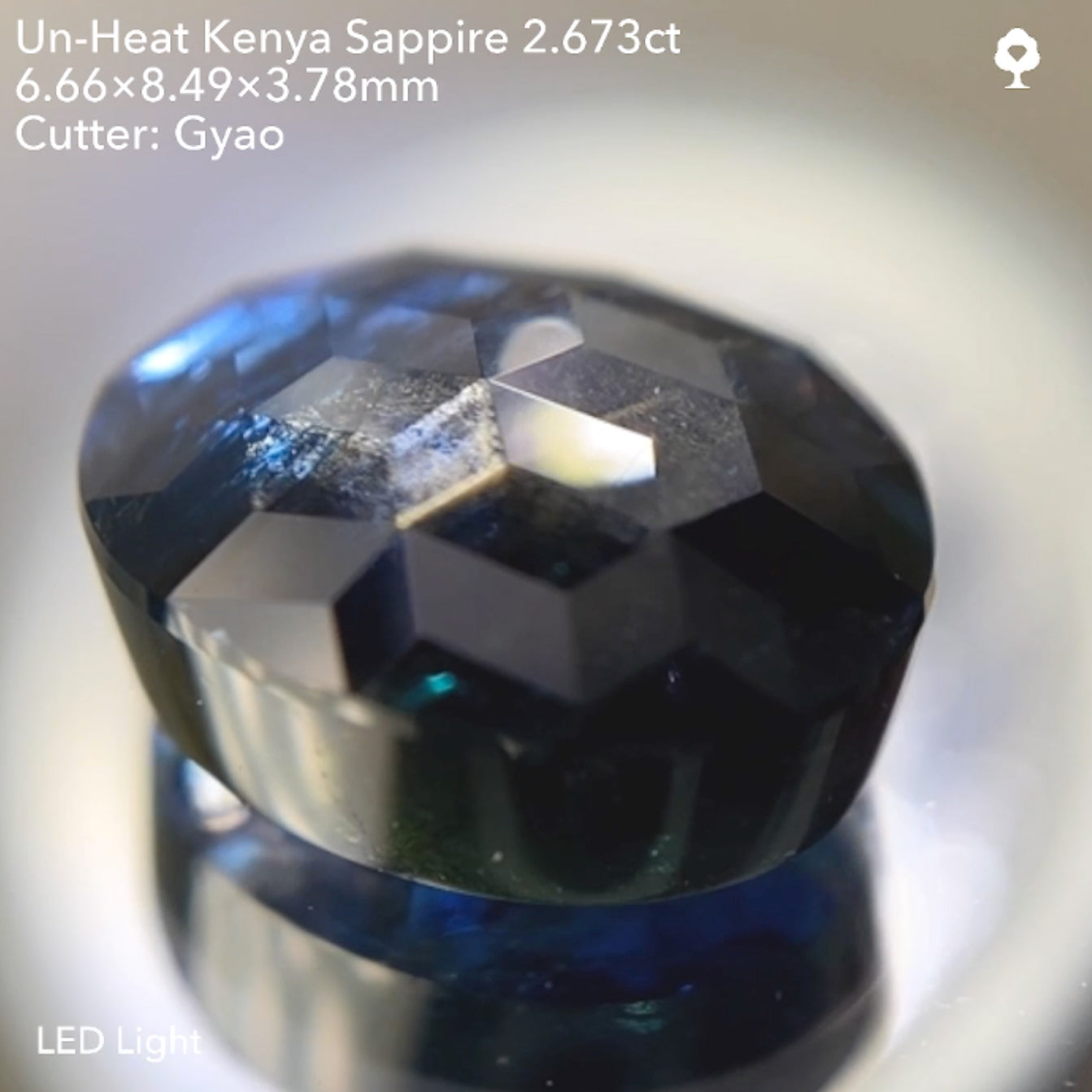 キューブスター非加熱ケニアサファイア2.673ct ゲオちゃん作品 11/14ライブ配信作品